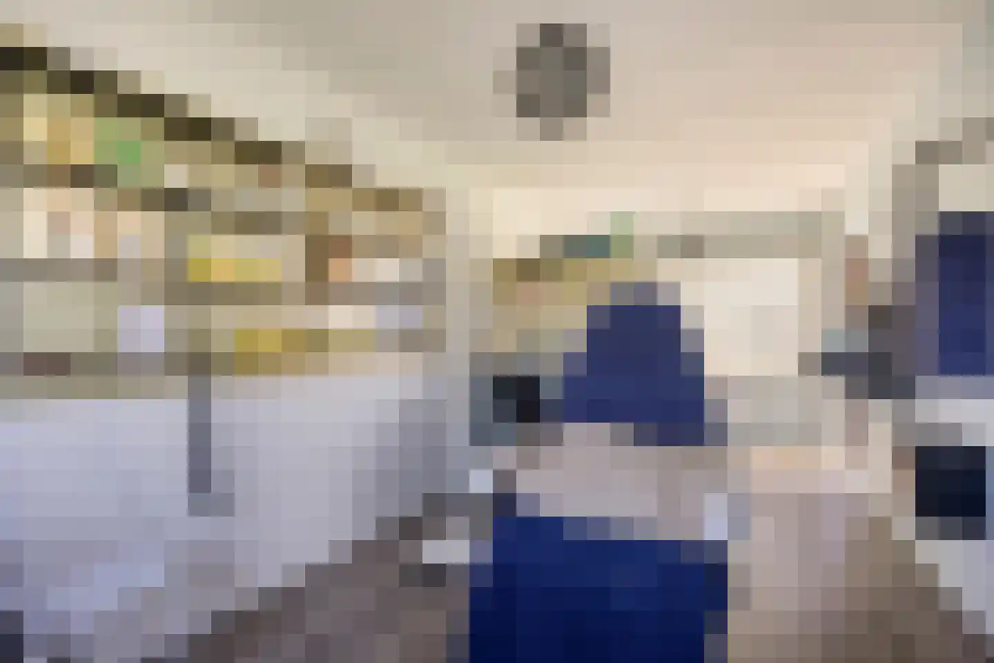 Hoenkoopse Buurtweg 38 Haastrecht thumbnail 49