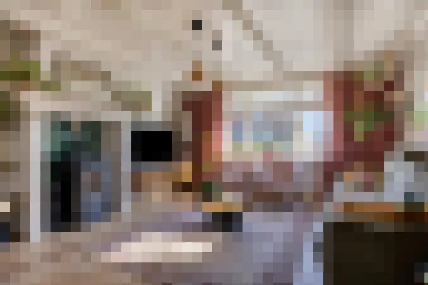 Hoenkoopse Buurtweg 38 Haastrecht thumbnail 5