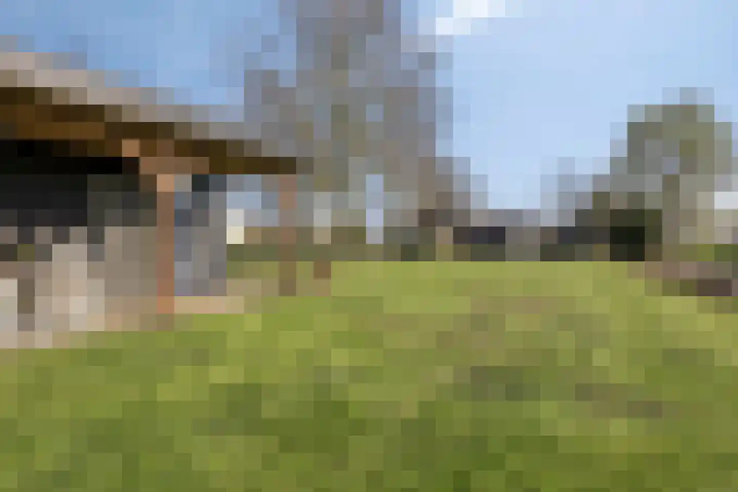 Hoenkoopse Buurtweg 38 Haastrecht thumbnail 52
