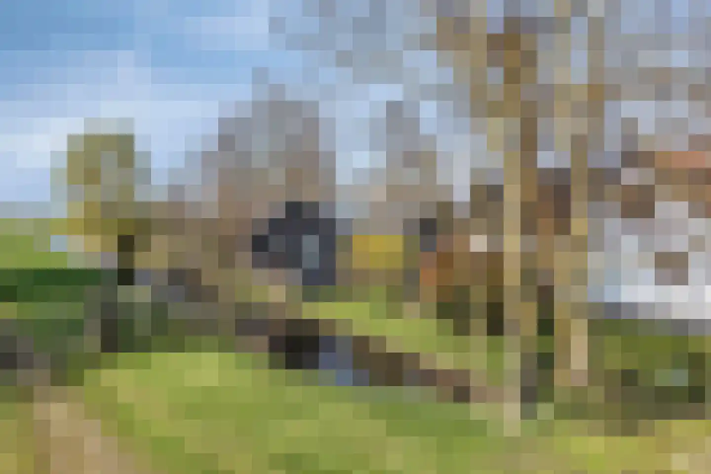 Hoenkoopse Buurtweg 38 Haastrecht thumbnail 53