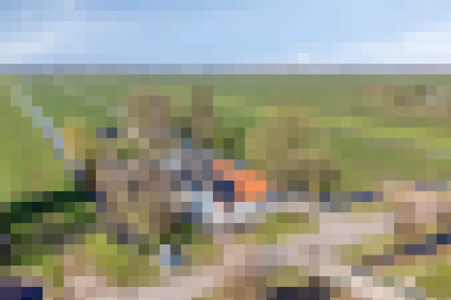 Hoenkoopse Buurtweg 38 Haastrecht thumbnail 59