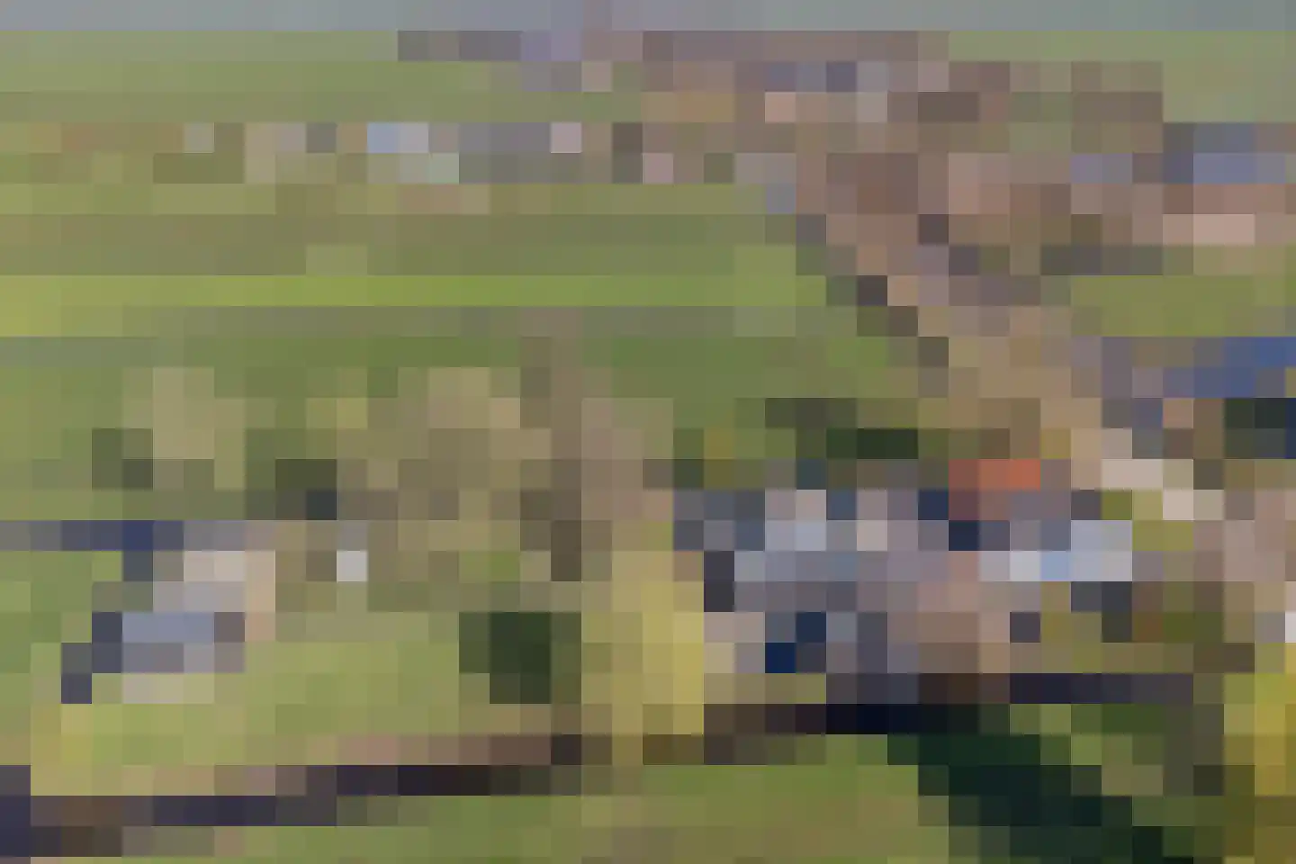 Hoenkoopse Buurtweg 38 Haastrecht thumbnail 61