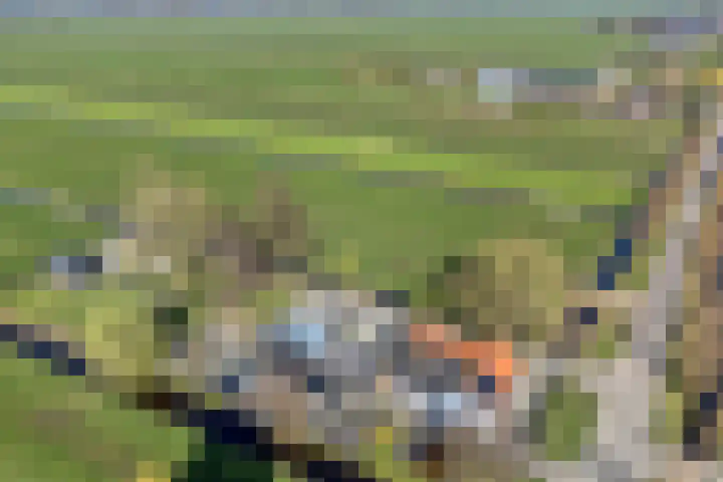 Hoenkoopse Buurtweg 38 Haastrecht thumbnail 62
