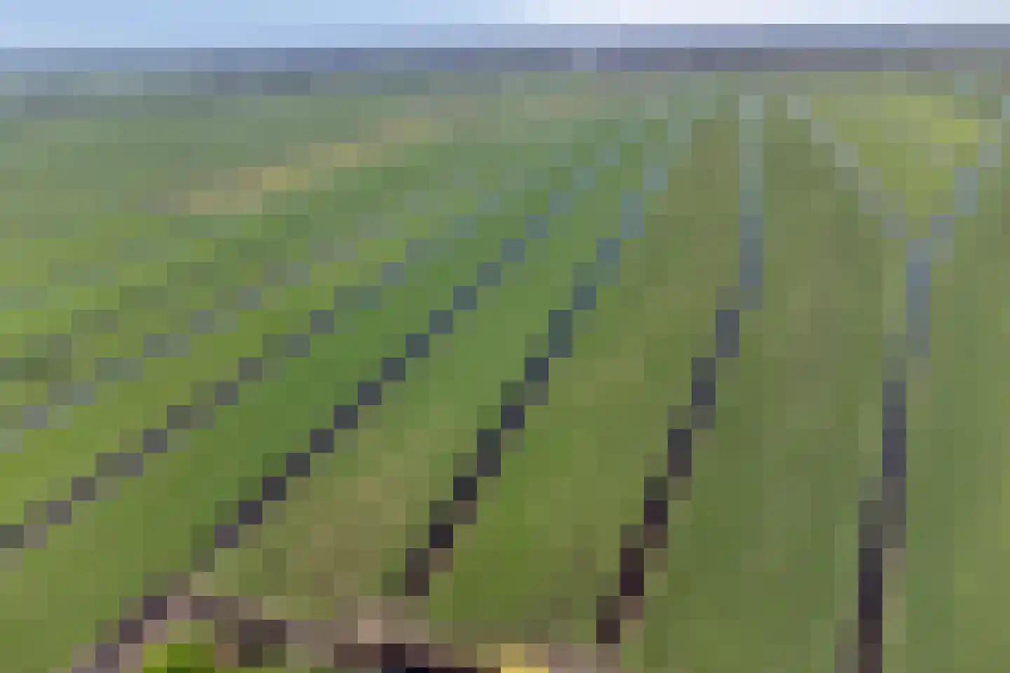 Hoenkoopse Buurtweg 38 Haastrecht thumbnail 63