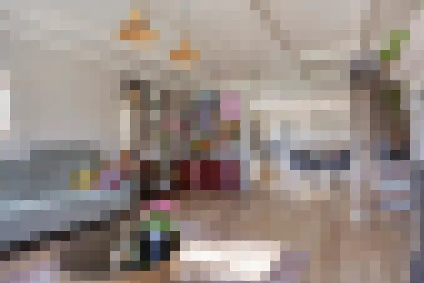 Hoenkoopse Buurtweg 38 Haastrecht thumbnail 8
