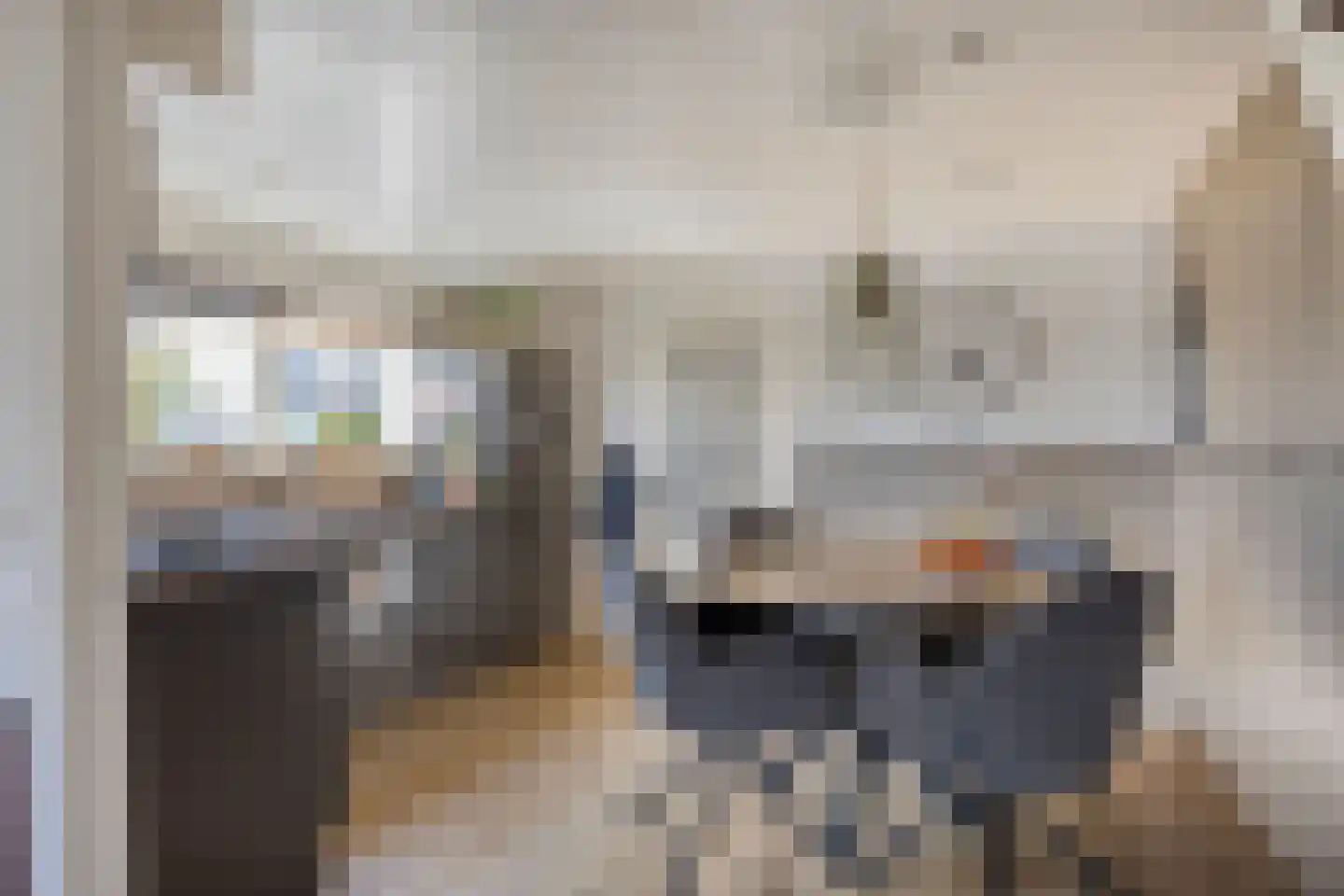 Hoenkoopse Buurtweg 38 Haastrecht thumbnail 9
