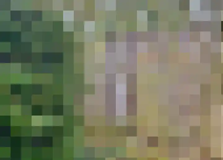 Hoenlo 23 Almelo thumbnail 17