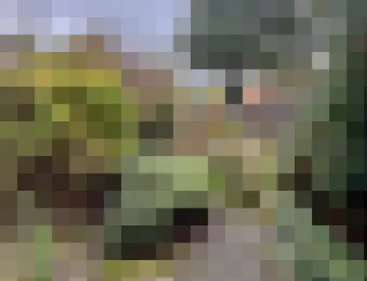Hoenlo 23 Almelo thumbnail 4