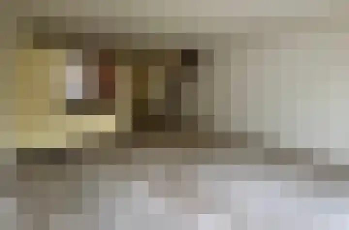 Hoenlo 23 Almelo thumbnail 7