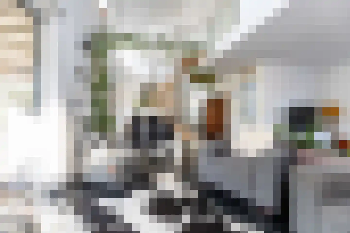 Hoenlostraat 4 Zwolle thumbnail 12