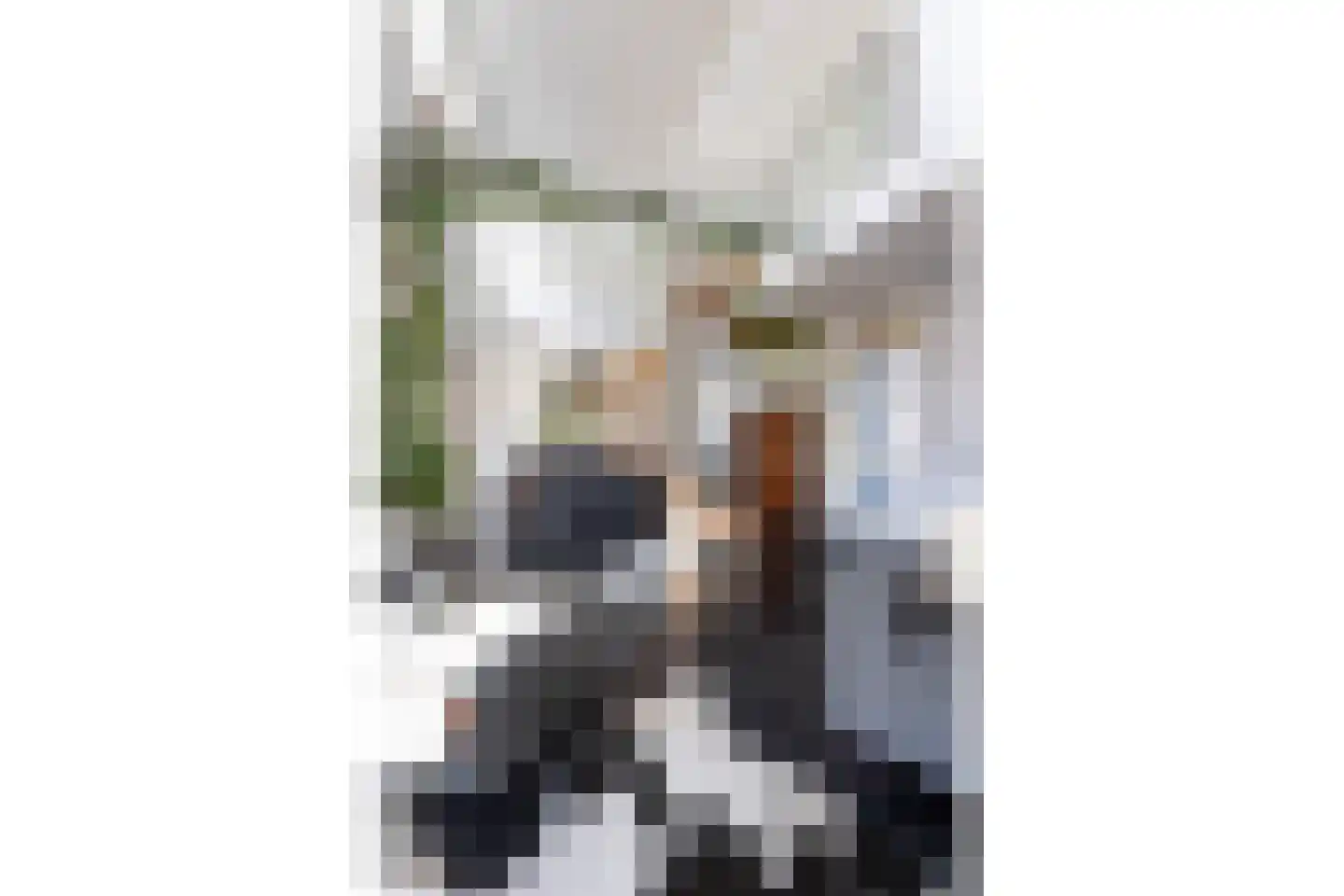 Hoenlostraat 4 Zwolle thumbnail 13