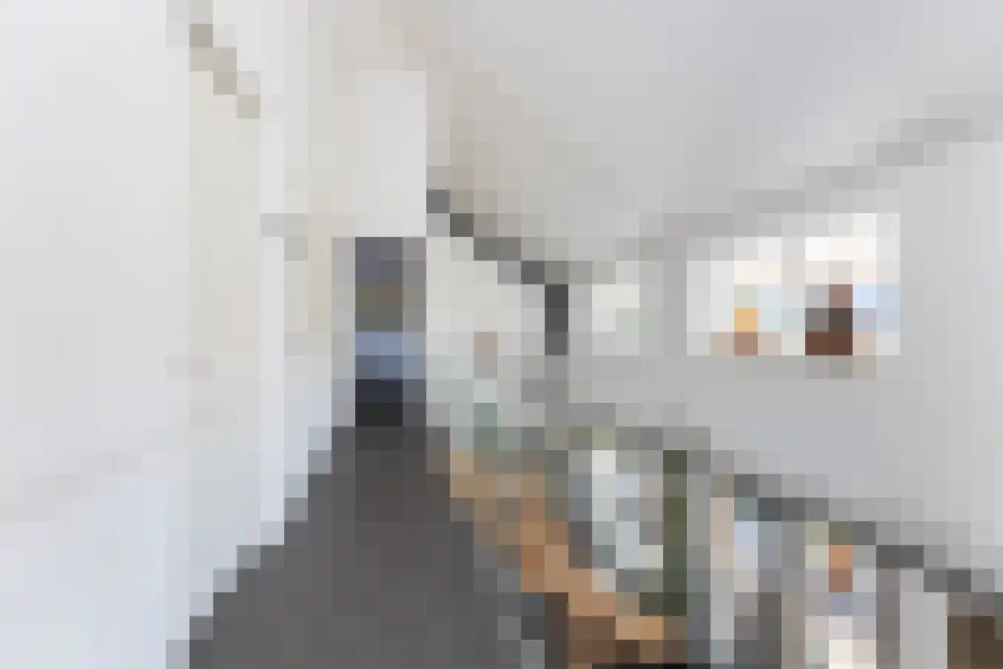 Hoenlostraat 4 Zwolle thumbnail 24