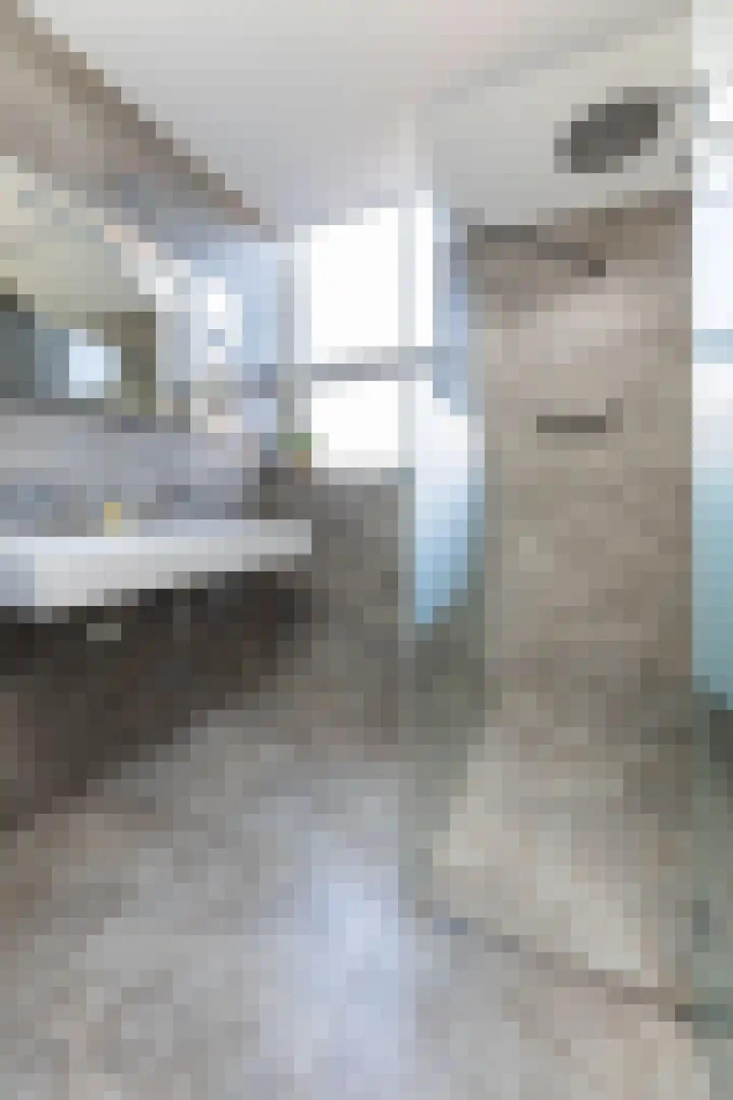 Hoenlostraat 4 Zwolle thumbnail 26