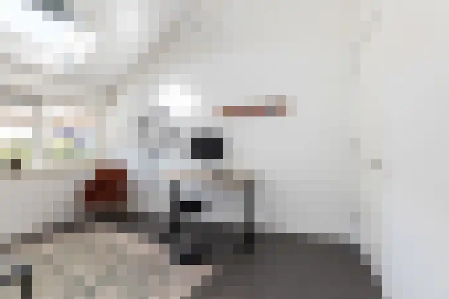 Hoenlostraat 4 Zwolle thumbnail 30