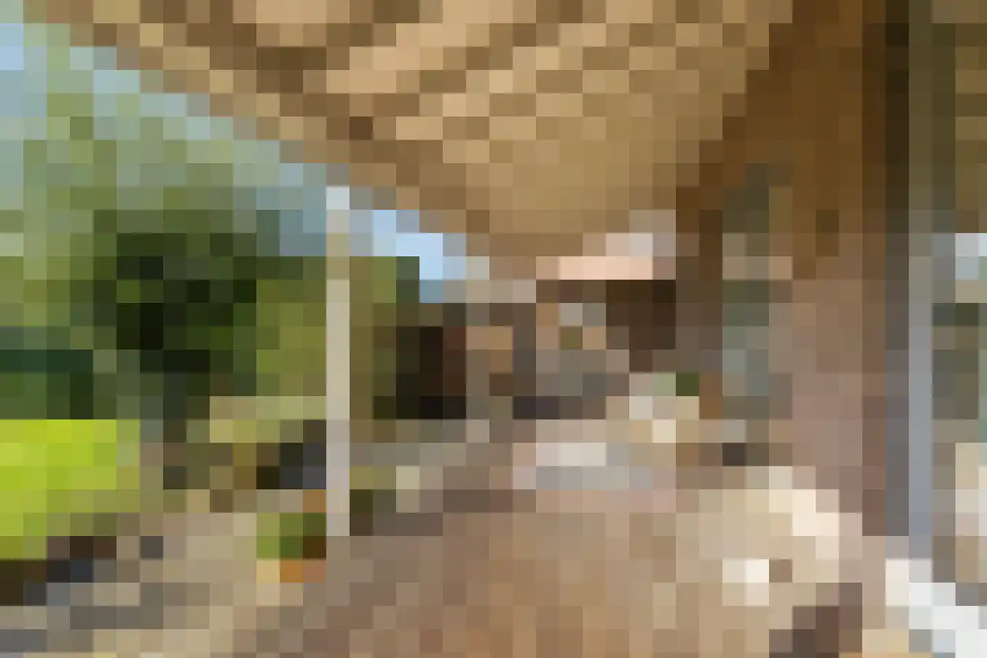 Hoenlostraat 4 Zwolle thumbnail 34
