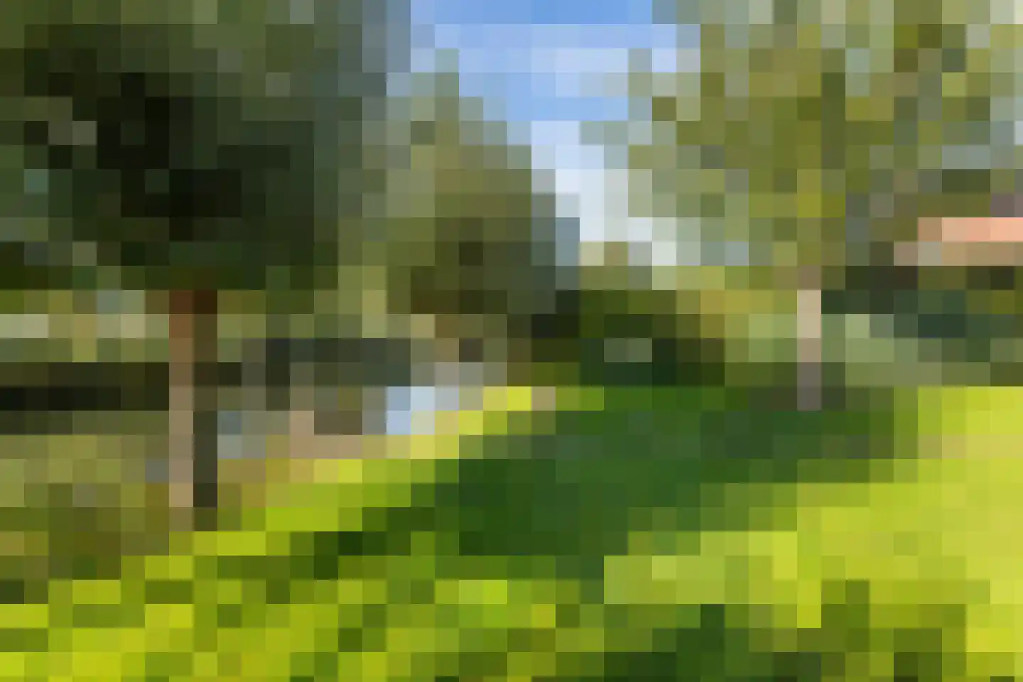 Hoenlostraat 4 Zwolle thumbnail 38