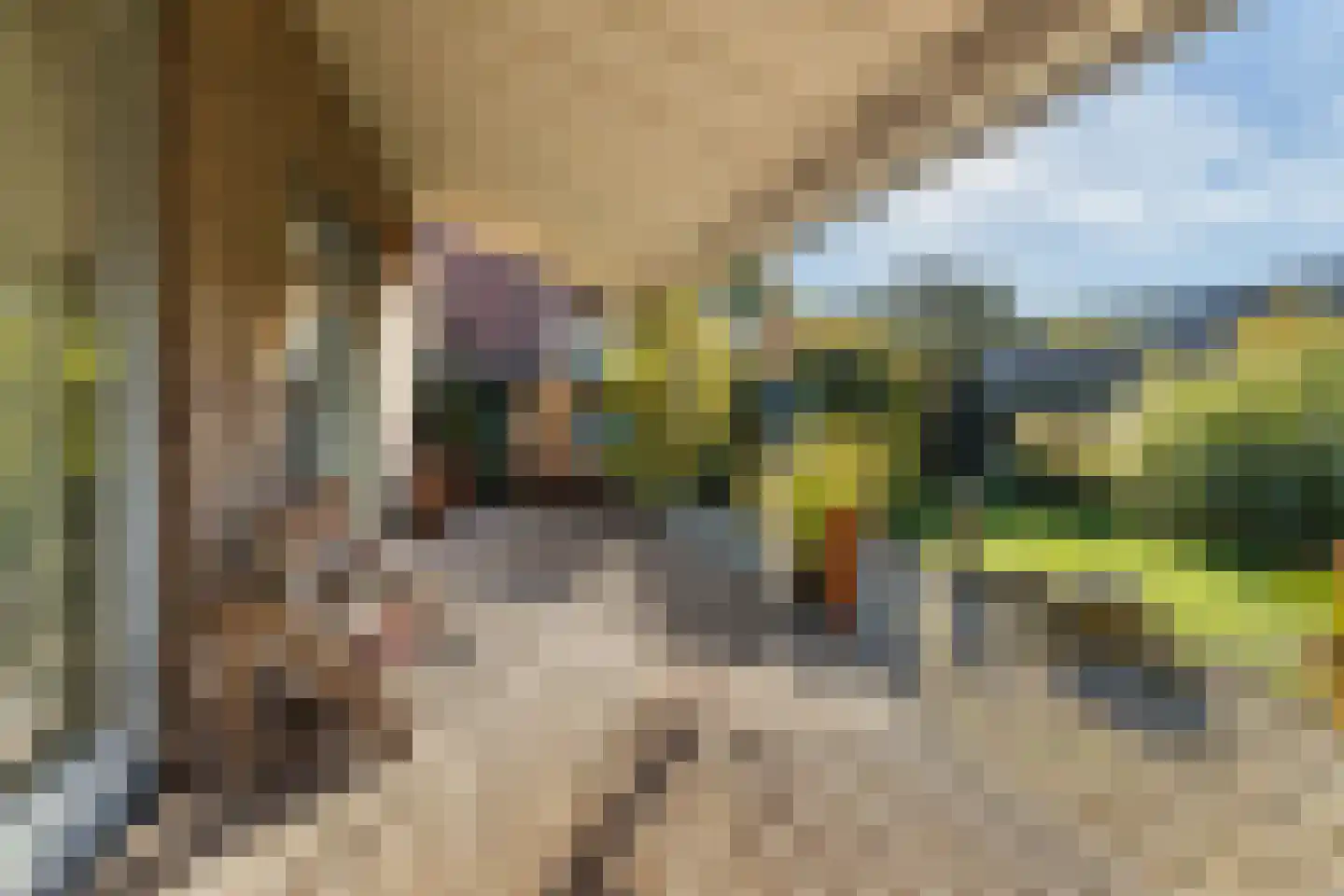 Hoenlostraat 4 Zwolle thumbnail 4