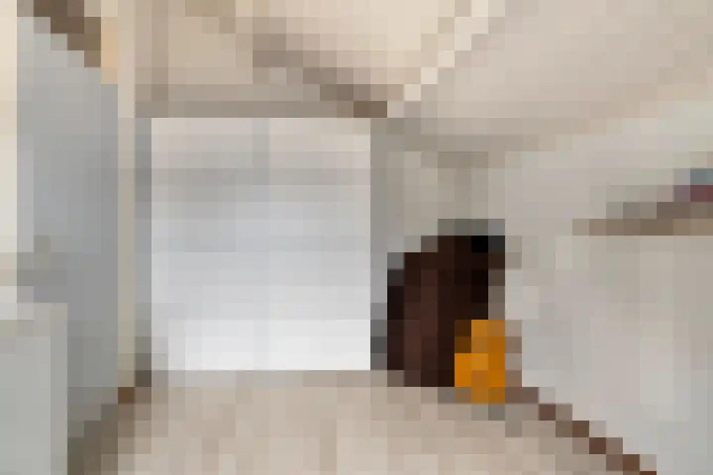 Hoensbroekstraat 7 Arnhem thumbnail 32