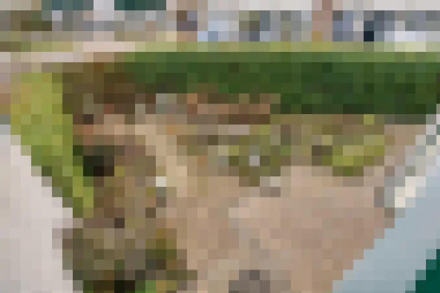 Hoensbroekstraat 7 Arnhem thumbnail 34