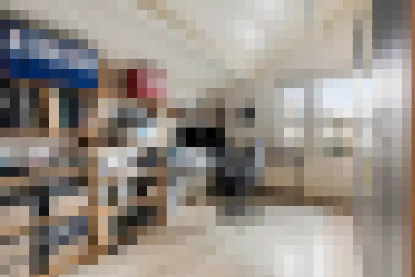 Hoensbroekstraat 7 Arnhem thumbnail 36