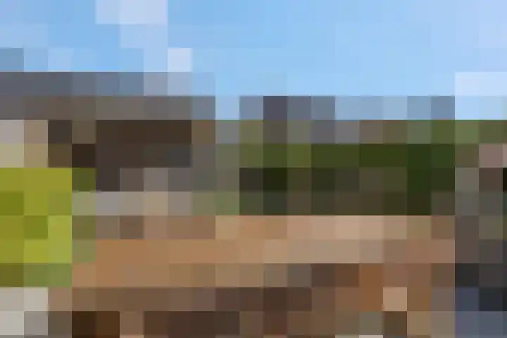 Hoenwaard 51 Ede thumbnail 31