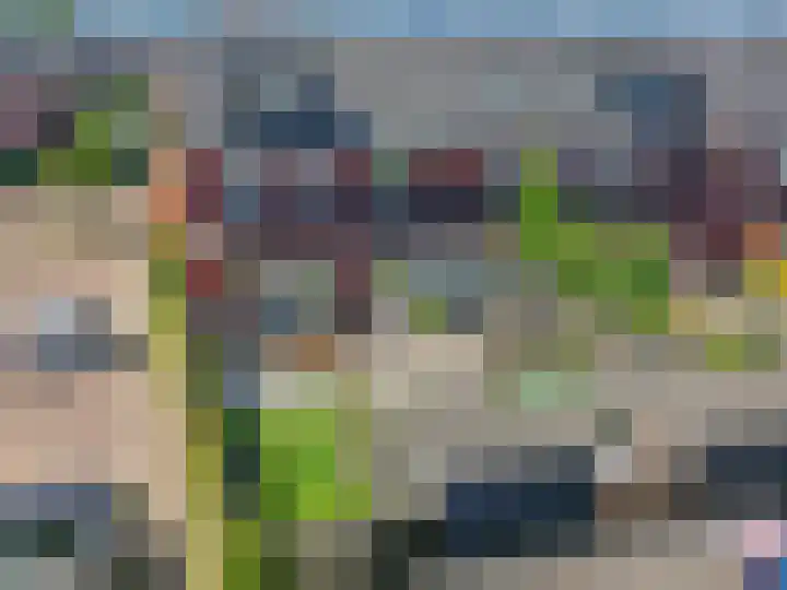 Hoenwaard 51 Ede thumbnail 41