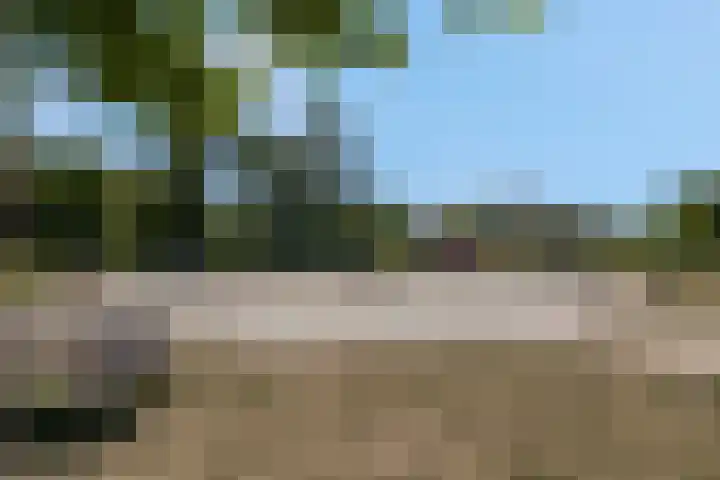 Hoenwaard 51 Ede thumbnail 45