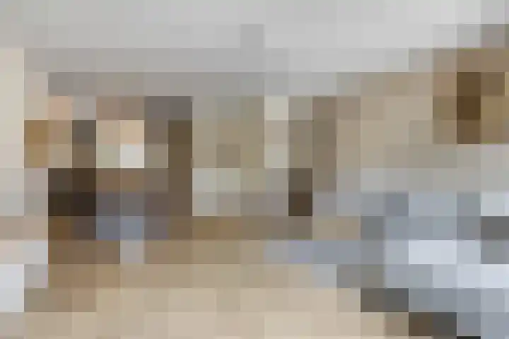 Hoenwaard 51 Ede thumbnail 6
