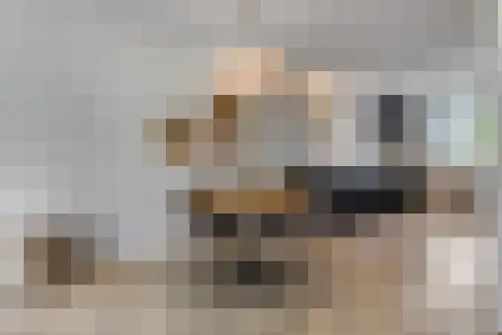 Hoenwaard 51 Ede thumbnail 8