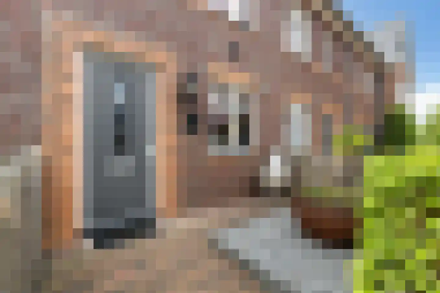 Hoenwaard 56 Ede thumbnail 29