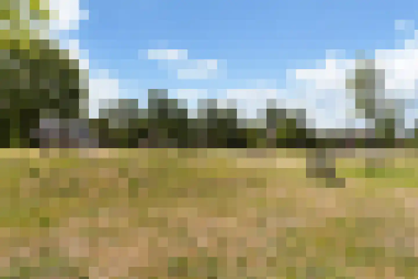 Hoenwaard 56 Ede thumbnail 32