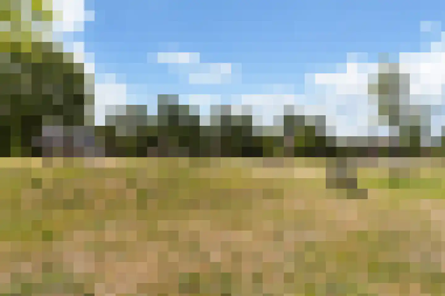 Hoenwaard 56 Ede thumbnail 32