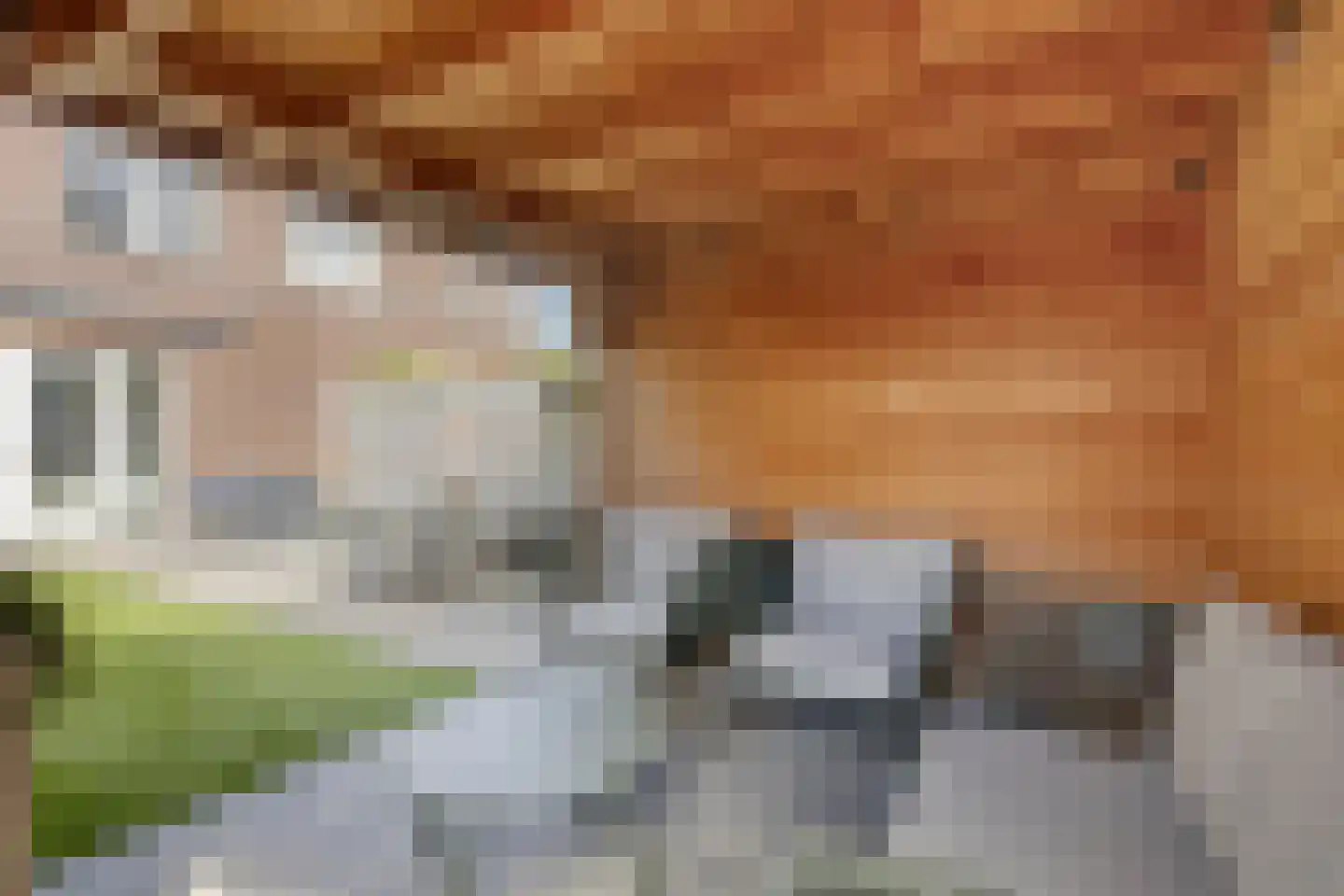 Hoenwaard 60 Ede thumbnail 34