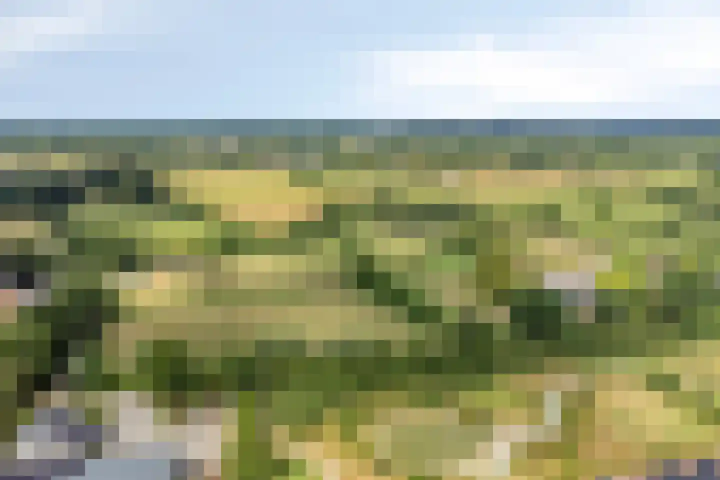 Hoenwaard 60 Ede thumbnail 47