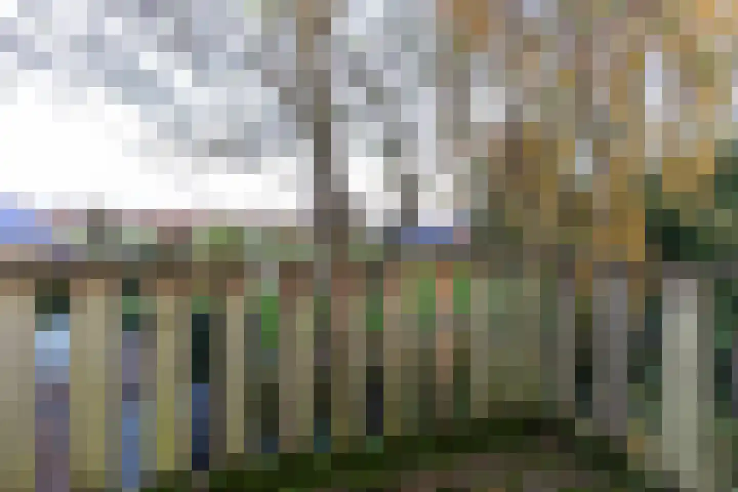 Hoenwaardseweg 15 A Hattem thumbnail 35