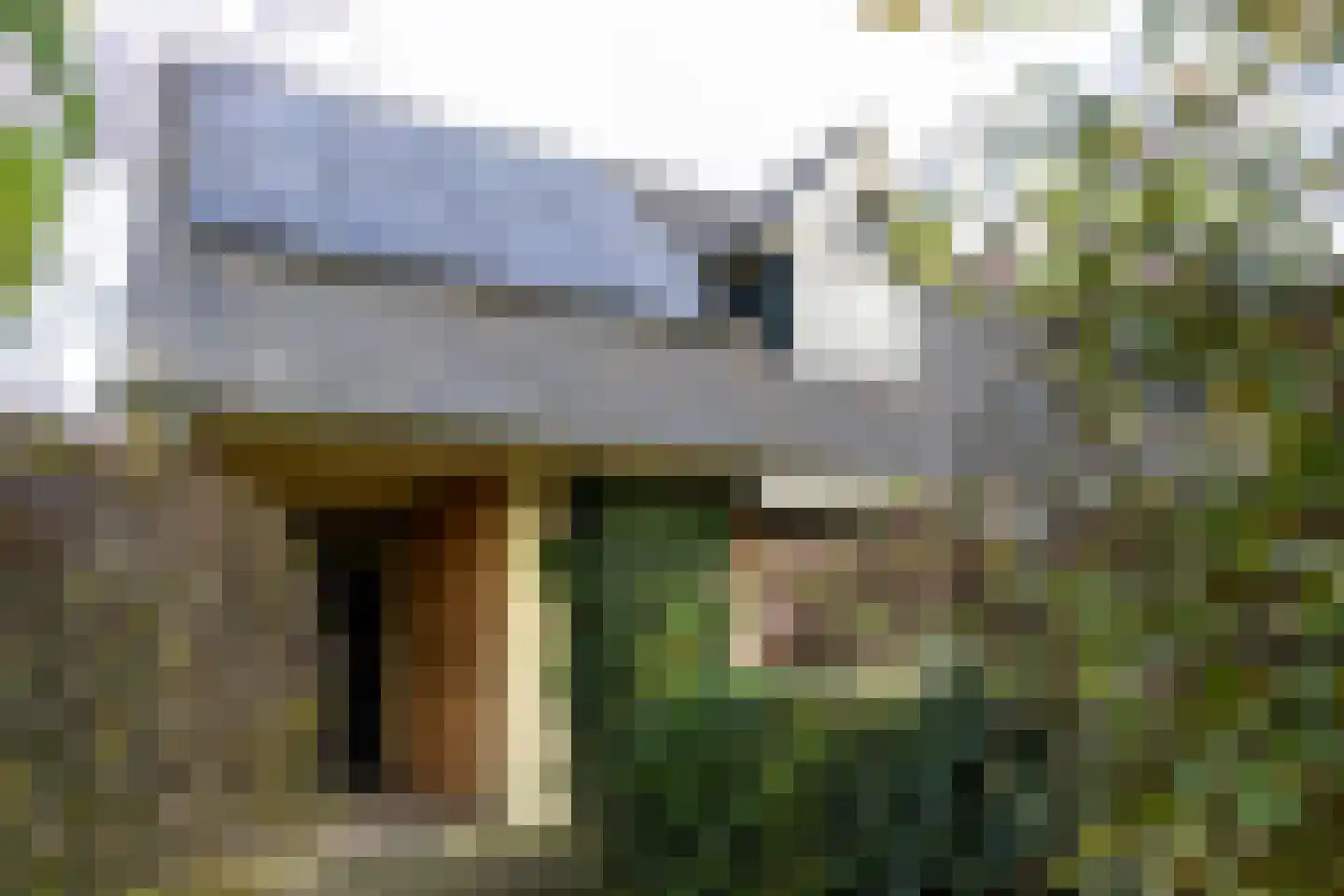 Hoenwaardseweg 15 A Hattem thumbnail 4