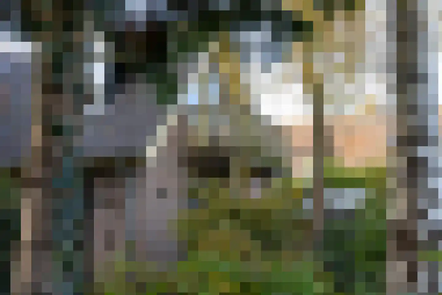 Hoenwaardseweg 15 A Hattem thumbnail 40