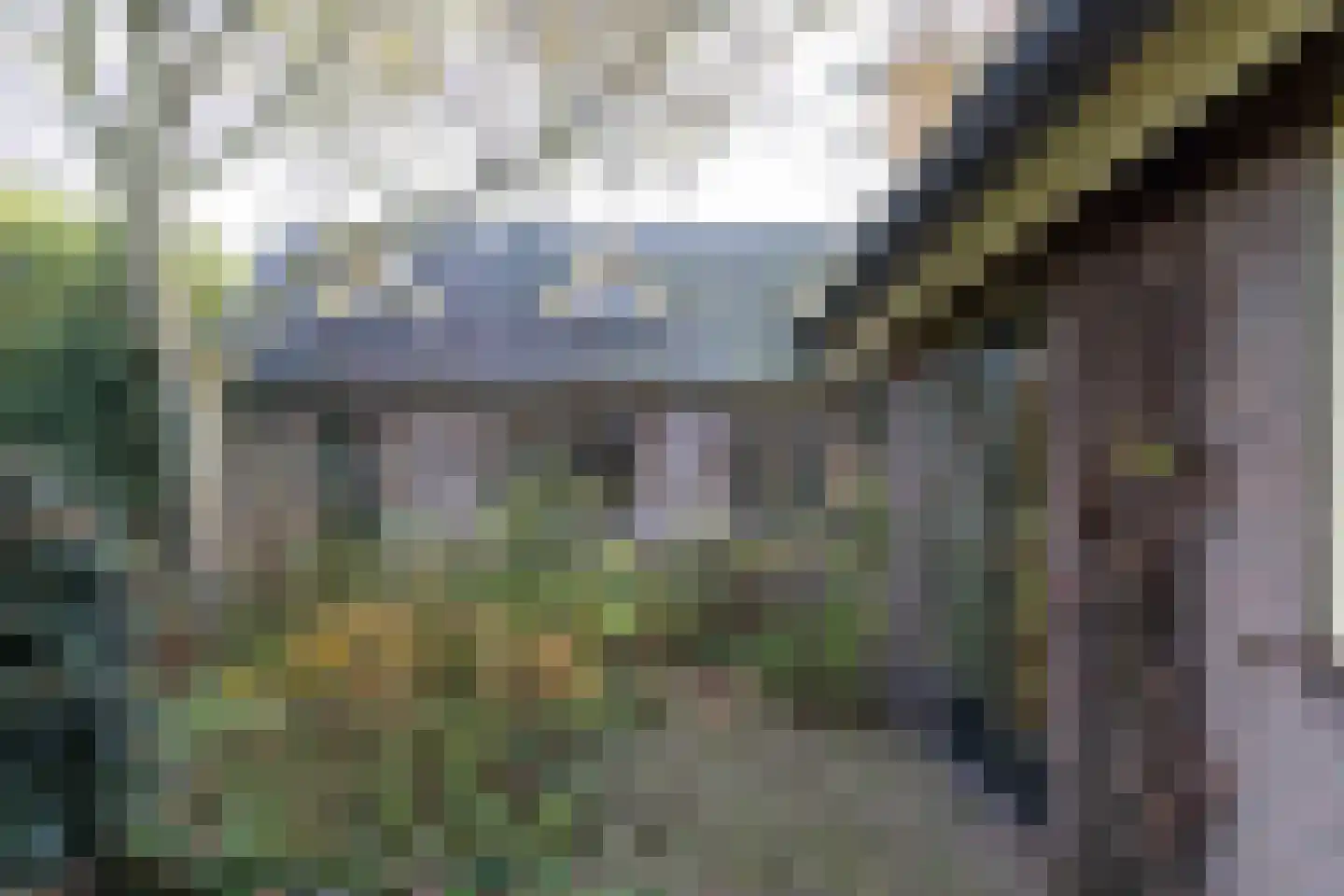 Hoenwaardseweg 15 A Hattem thumbnail 42