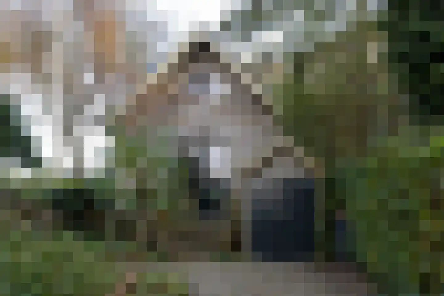 Hoenwaardseweg 15 A Hattem thumbnail 45