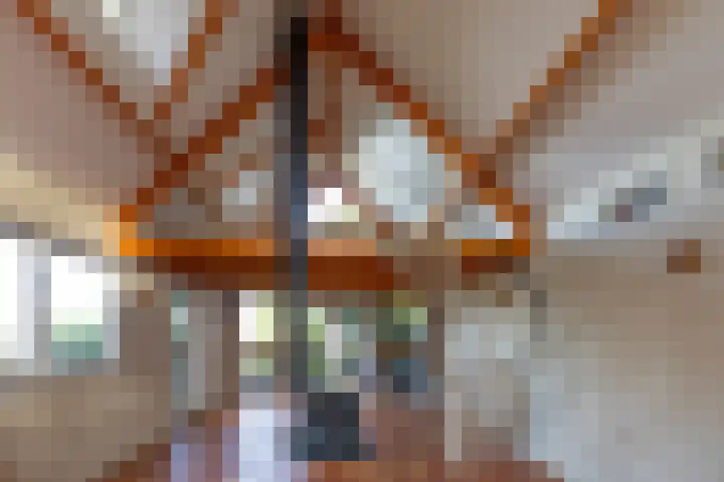 Hoenwaardseweg 15 A Hattem thumbnail 46
