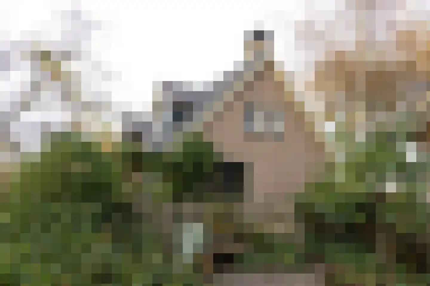Hoenwaardseweg 15 A Hattem thumbnail 5