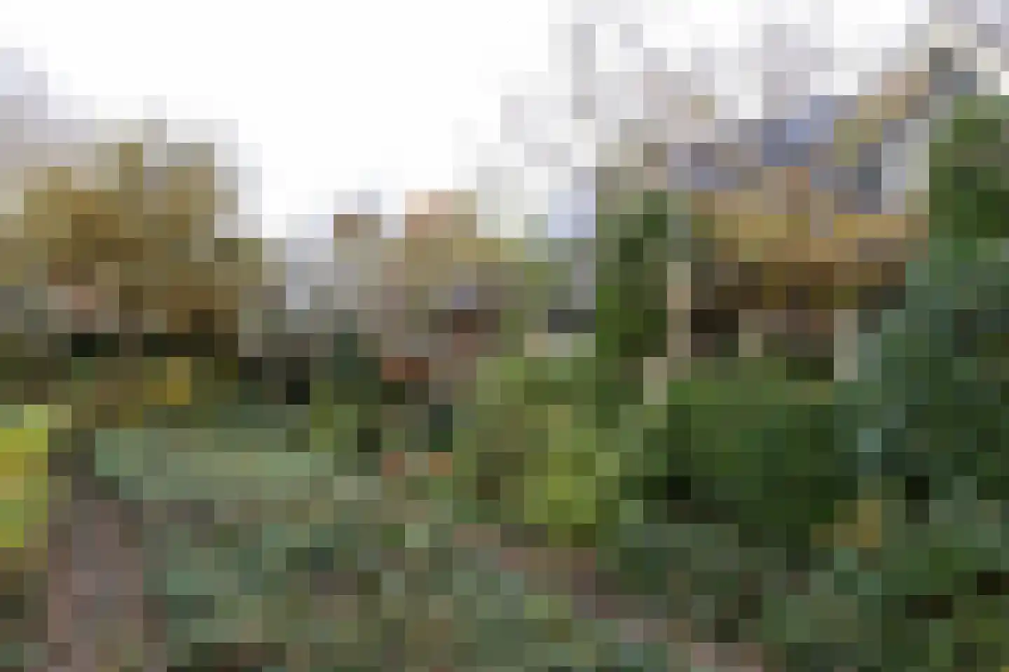 Hoenwaardseweg 15 A Hattem thumbnail 6