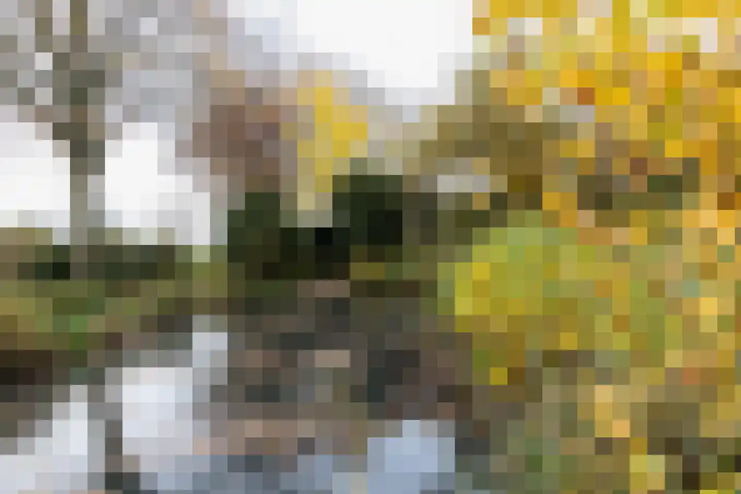 Hoenwaardseweg 15 A Hattem thumbnail 7