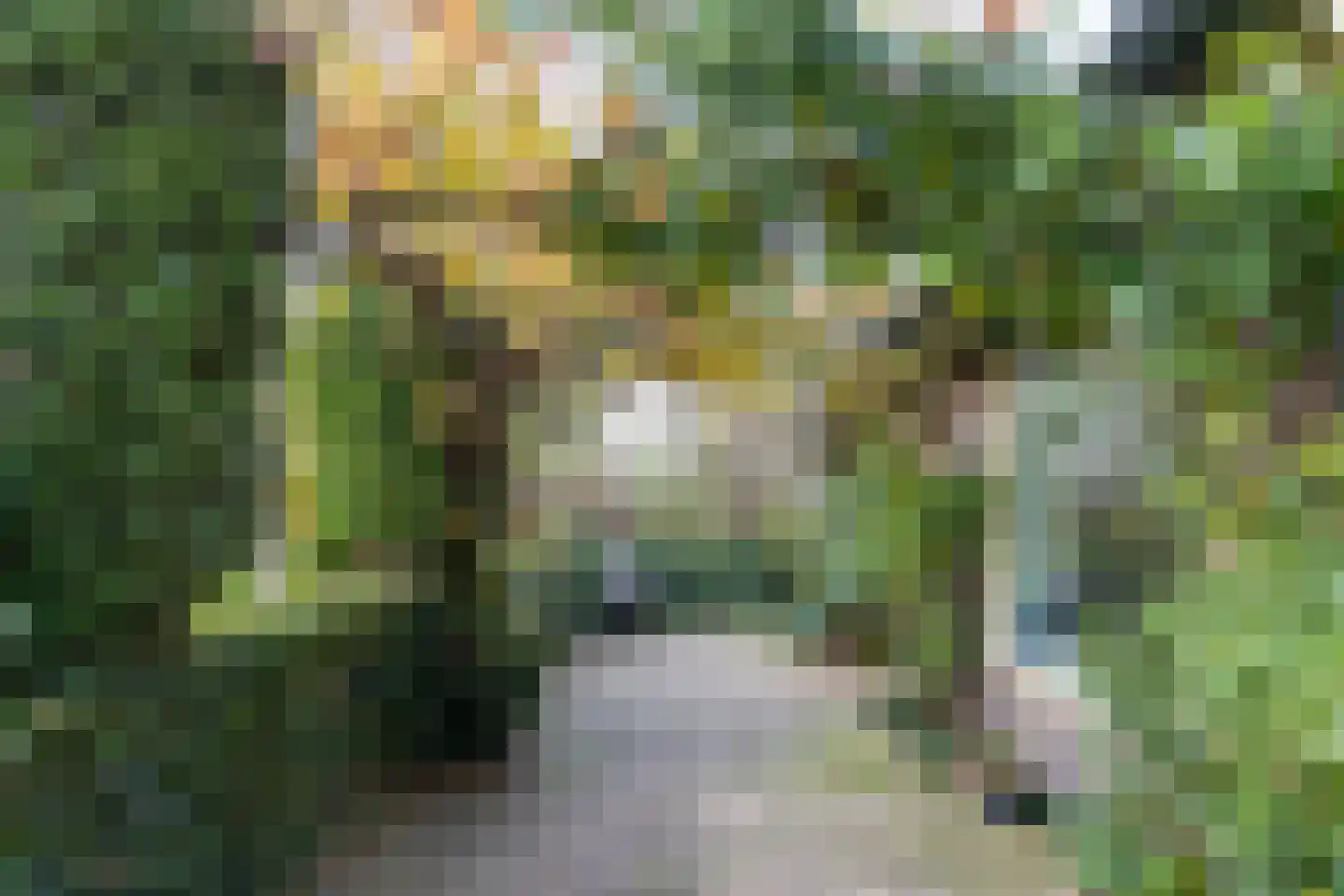 Hoenwaardseweg 15 A Hattem thumbnail 8