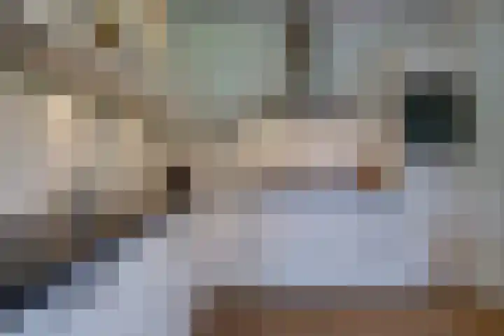 Hoep 4 Schagen thumbnail 13