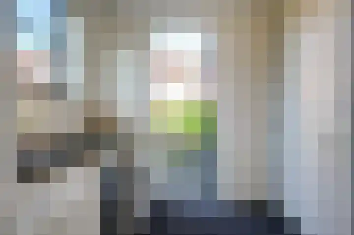 Hoep 4 Schagen thumbnail 20