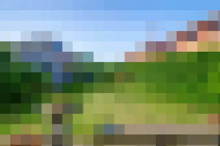 Hoep 4 Schagen thumbnail 22