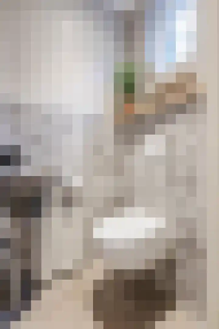 Hoep 63 A Schagen thumbnail 10