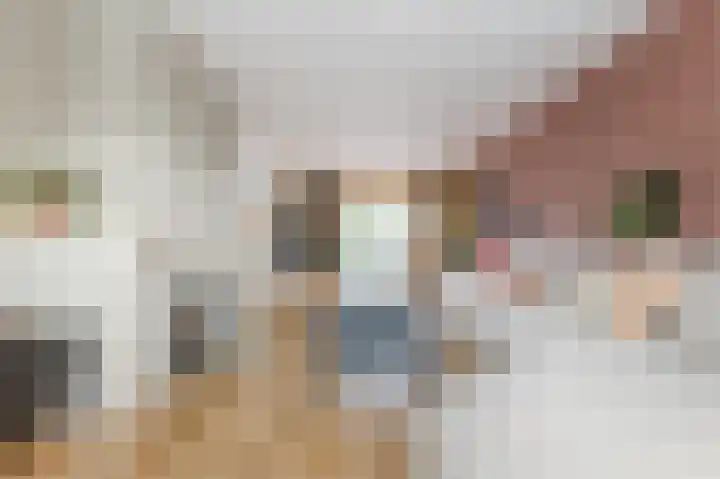 Hoep 63 A Schagen thumbnail 16