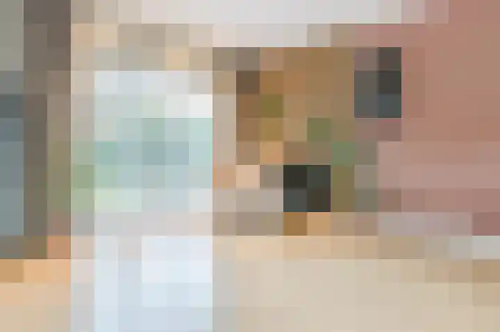 Hoep 63 A Schagen thumbnail 18